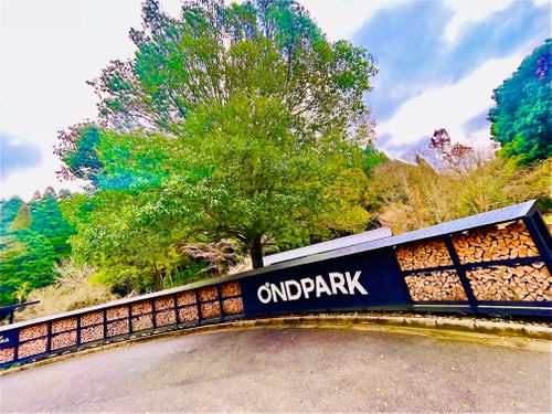 『笑門来福』笑って過ごそう♫福笑いおじおばうさキャン△ in ONDCAMP 〜 CAMP NO.179 OND CAMP ファミリーキャンプ グループキャンプ フリーサイト おじキャン△さんのキャンプブログ CAMPiii（キャンピー） -キャンプ専用SNS キャンプのすべてがここに集まる-