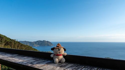 南伊豆夕陽ヶ丘キャンプ場 南伊豆夕日ヶ丘キャンプ場 ファミリーキャンプ オートサイト オラフさんのキャンプブログ CAMPiii（キャンピー） -キャンプ専用SNS キャンプのすべてがここに集まる-