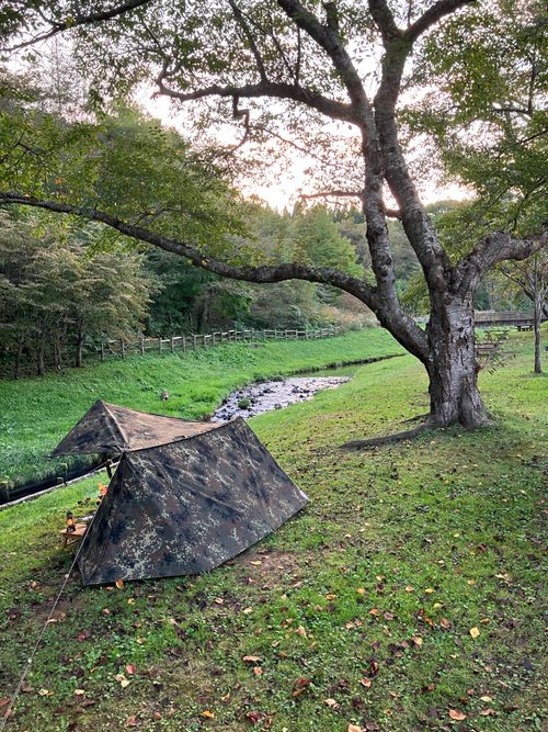 またまた癒されに長万部🤣 長万部公園(キャンプ場) ソロキャンプ フリーサイト siroさんのキャンプブログ CAMPiii（キャンピー） -キャンプ専用SNS キャンプのすべてがここに集まる-