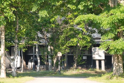 北海道初夏の旅 ENJOY THE OUTDOORSさんのキャンプブログ CAMPiii（キャンピー） -キャンプ専用SNS キャンプのすべてがここに集まる-
