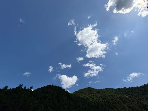 カムフラージュ😎♬ いくみキャンプ場 ソロキャンプ フリーサイト camping roll♪さんのキャンプブログ CAMPiii（キャンピー） -キャンプ専用SNS キャンプのすべてがここに集まる-