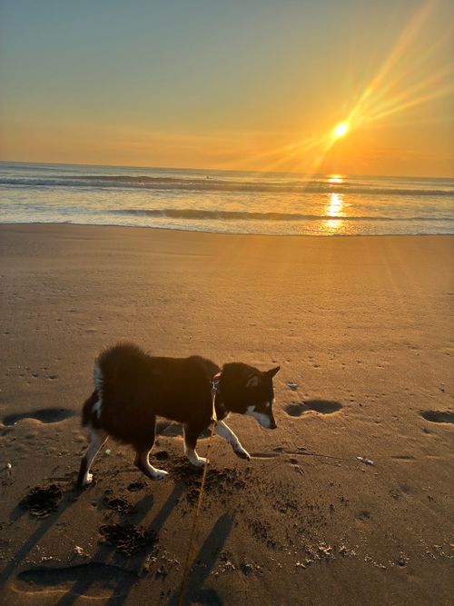 CAMPiii(キャンピー) アクセルさんのキャンプブログ ようやく今年初キャンプは完ソロ! Ocean's Camp TORAMII -ichinomiya-(オーシャンズキャンプトラミ一宮)