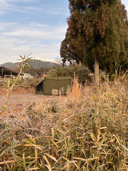 2025ラストソロ キャンプ&農園 玖珠の杜 ソロキャンプ フリーサイト ミルさんのキャンプブログ CAMPiii（キャンピー） -キャンプ専用SNS キャンプのすべてがここに集まる-