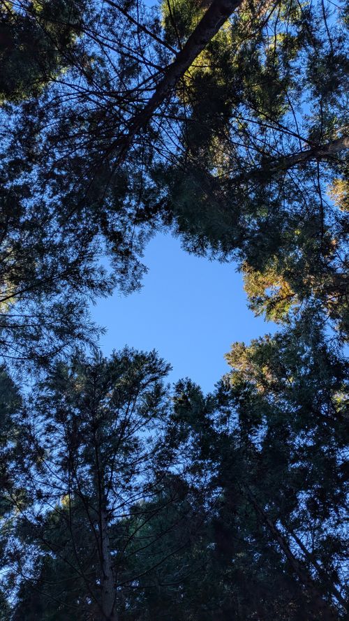 2026年キャンプ始め ソロキャンプ あなご^. .^ さんのキャンプブログ CAMPiii（キャンピー） -キャンプ専用SNS キャンプのすべてがここに集まる-