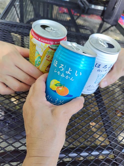 真夏のキャンプ でも池の近くは過ごしやすく、穴場キャンプ場だった 大平森林公園 ファミリーキャンプ 区画サイト オートサイト セツさんのキャンプブログ CAMPiii(キャンピー) -キャンプ専用SNS キャンプのすべてがここに集まる-