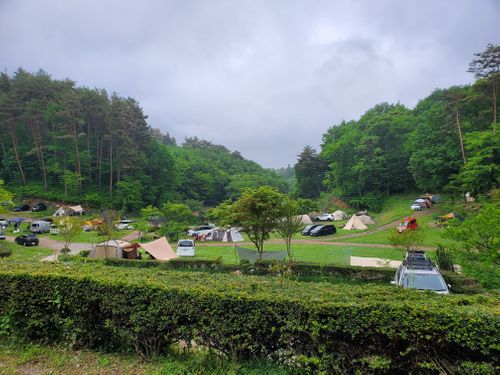 星の降る森 星の降る森 ファミリーキャンプ 区画サイト オートサイト 中年ソロキャンオヤジさんのキャンプブログ CAMPiii（キャンピー） -キャンプ専用SNS キャンプのすべてがここに集まる-