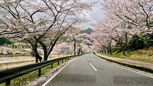 春の嵐！！車中飯で🌸花見🌸が快適。竹の子ご飯で春を満喫。 ソロキャンプ HOTさんのキャンプブログ CAMPiii（キャンピー） -キャンプ専用SNS キャンプのすべてがここに集まる-