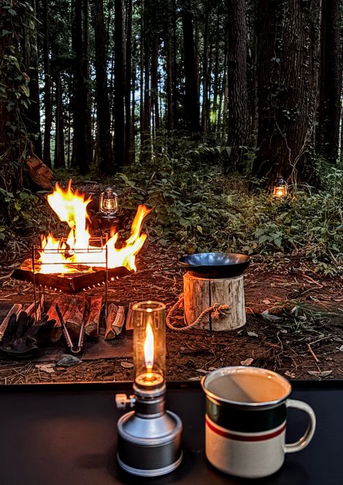 🌲森林サイトで癒される &GREEN龍ケ崎キャンプ場 ソロキャンプ フリーサイト オートサイト ARUGOさんのキャンプブログ CAMPiii(キャンピー) -キャンプ専用SNS キャンプのすべてがここに集まる-