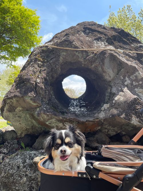 富士山キャンプと新倉浅間公園 朝霧Camp Base そらいろキャンプ場（フリーサイト・区画サイト・電源区画サイト） ファミリーキャンプ フリーサイト Kojiさんのキャンプブログ CAMPiii（キャンピー） -キャンプ専用SNS キャンプのすべてがここに集まる-