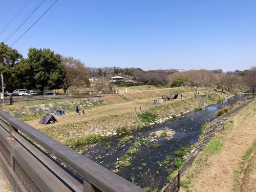 オッサン、清瀬に帰る 清瀬金山緑地公園 ソロキャンプ フリーサイト やんさんのキャンプブログ CAMPiii（キャンピー） -キャンプ専用SNS キャンプのすべてがここに集まる-