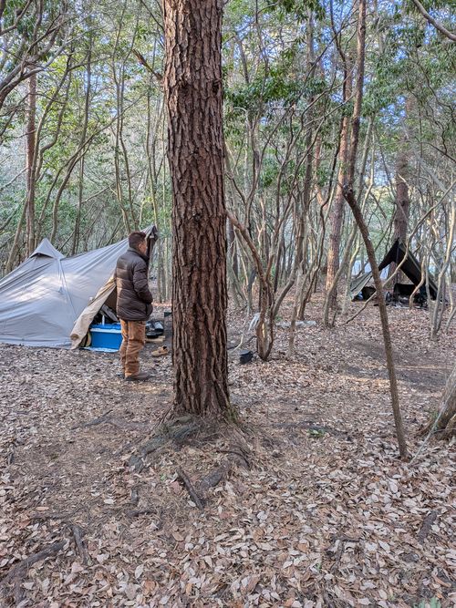 2026年4泊目 PICA富士西湖 ソロキャンプ グループキャンプ フリーサイト アニさんのキャンプブログ CAMPiii（キャンピー） -キャンプ専用SNS キャンプのすべてがここに集まる-