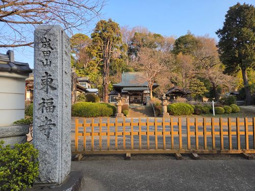 オッサン、清瀬に帰る 清瀬金山緑地公園 ソロキャンプ フリーサイト やんさんのキャンプブログ CAMPiii（キャンピー） -キャンプ専用SNS キャンプのすべてがここに集まる-