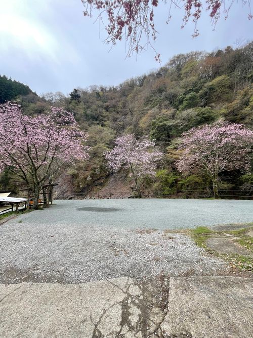 同僚とデュオキャンプ！道志村にある久保キャンプ場へ！ 道志村 久保キャンプ場 ソロキャンプ グループキャンプ 区画サイト ma9さんのキャンプブログ CAMPiii（キャンピー） -キャンプ専用SNS キャンプのすべてがここに集まる-
