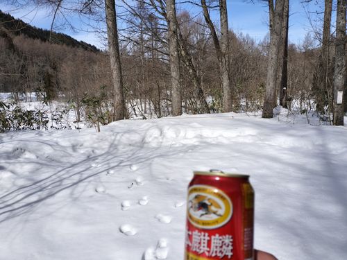 雪中が好きです 飛騨荘川 一色の森キャンプ場 ソロキャンプ グループキャンプ 区画サイト オートサイト たかたかぽんたさんのキャンプブログ CAMPiii（キャンピー） -キャンプ専用SNS キャンプのすべてがここに集まる-
