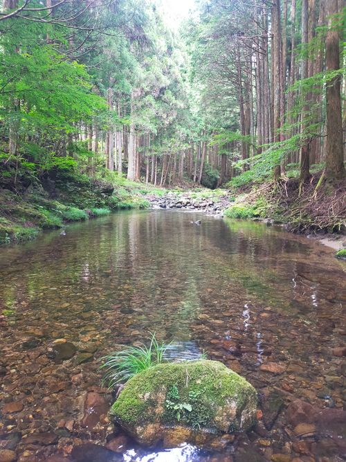 泉の森 避暑地 泉の森オートキャンプ場 小広荘 ソロキャンプ 区画サイト おっとまんSさんのキャンプブログ CAMPiii(キャンピー) -キャンプ専用SNS キャンプのすべてがここに集まる-