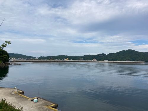 淡路島上陸！！ 休暇村南淡路 ファミリーキャンプ 区画サイト masaさんのキャンプブログ CAMPiii（キャンピー） -キャンプ専用SNS キャンプのすべてがここに集まる-