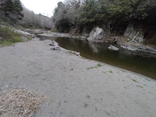 予想外に寒くない😁 月川荘キャンプ場 林間サイト ソロキャンプ フリーサイト ぼっちオヤジさんのキャンプブログ CAMPiii（キャンピー） -キャンプ専用SNS キャンプのすべてがここに集まる-