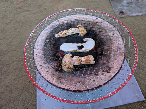 110回目のキャンプは秋の味覚だった いこいの森弘法山 ソロキャンプ フリーサイト オートサイト サイババ-SBBcampさんのキャンプブログ CAMPiii（キャンピー） -キャンプ専用SNS キャンプのすべてがここに集まる-