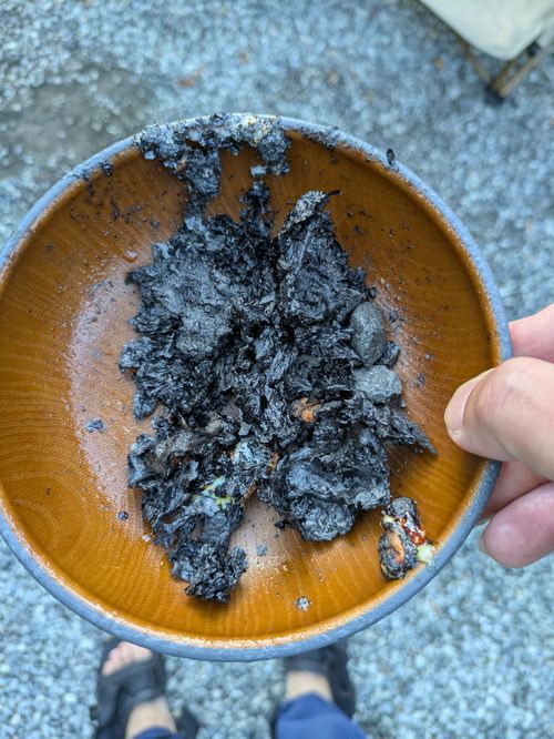 滝の迫力◎!川遊びも満喫!アットホームなキャンプ場 山水徳間の里キャンプ場 ファミリーキャンプ 区画サイト ひなはるさんのキャンプブログ CAMPiii(キャンピー) -キャンプ専用SNS キャンプのすべてがここに集まる-