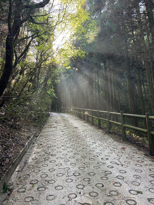 登山デビュー(テント泊付き) 金剛山 ソロキャンプ 区画サイト △kuuga△さんのキャンプブログ CAMPiii（キャンピー） -キャンプ専用SNS キャンプのすべてがここに集まる-