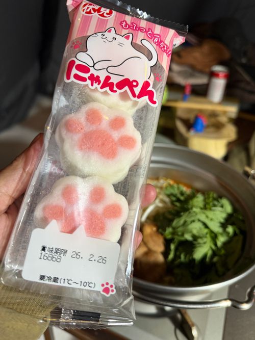 脚下照顧（きゃっかしょうこ）雪中キャンプ🏔🏕@前編 白馬森のわさび農園（オートキャンプ場併設） ファミリーキャンプ オートサイト ぐうたら夫婦さんのキャンプブログ CAMPiii（キャンピー） -キャンプ専用SNS キャンプのすべてがここに集まる-