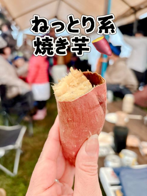 秋の大グルキャンイベント‼️𝙸𝙽 千葉県 オートキャンプ悠遊の丘 グループキャンプ フリーサイト オートサイト Oniyomeさんのキャンプブログ CAMPiii(キャンピー) -キャンプ専用SNS キャンプのすべてがここに集まる-