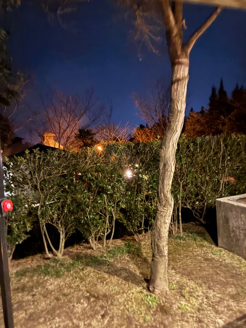 2026年4回目、桜開花直前キャン🌸 憩いの森公園 ファミリーキャンプ 区画サイト オートサイト わいげさんのキャンプブログ CAMPiii（キャンピー） -キャンプ専用SNS キャンプのすべてがここに集まる-