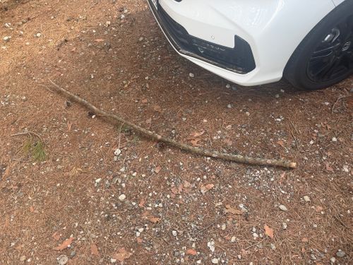 落下注意 PICA八ヶ岳明野 グループキャンプ 区画サイト スモーキーさんのキャンプブログ CAMPiii（キャンピー） -キャンプ専用SNS キャンプのすべてがここに集まる-