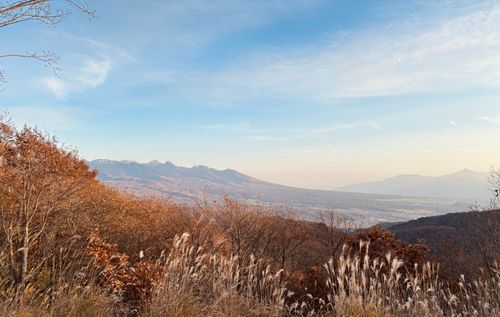 標高1500m天空のキャンプ場✩.*˚からの思い出の霧ヶ峰でフラット登山🚶🏽‍♂️🚶‍♀️ CAMP SKY FIELD-車山オートキャンプ場 区画サイト Jimko☆さんのキャンプブログ CAMPiii（キャンピー） -キャンプ専用SNS キャンプのすべてがここに集まる-
