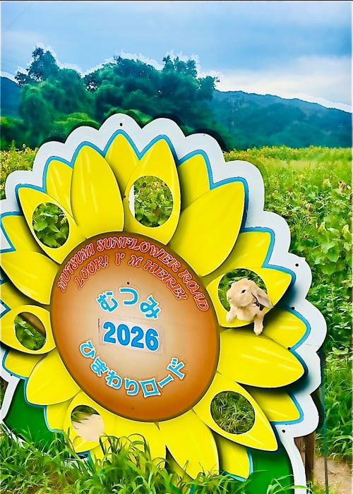 8/7は《キャンプ記念日⛺️》夏の想い出おじ🐰キャン△ in 阿武川温泉公園 〜 CAMP NO.206 萩阿武川温泉公園（キャンプ可） ソロキャンプ ファミリーキャンプ フリーサイト おじキャン△さんのキャンプブログ CAMPiii（キャンピー） -キャンプ専用SNS キャンプのすべてがここに集まる-