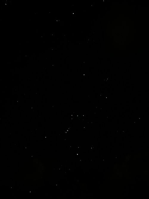 花見キャンプのはずなのに🤔 伊豆キャンパーズヴィレッジ ソロキャンプ フリーサイト Genさんのキャンプブログ CAMPiii（キャンピー） -キャンプ専用SNS キャンプのすべてがここに集まる-