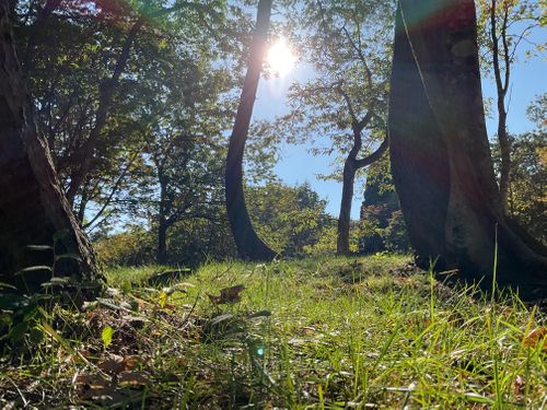 貸し切りすぎ、気持ち良すぎ、カメムシいすぎ North Village Hirugano - Camping Fields ファミリーキャンプ オートサイト 区画サイト りょっちーさんのキャンプブログ CAMPiii（キャンピー） -キャンプ専用SNS キャンプのすべてがここに集まる-