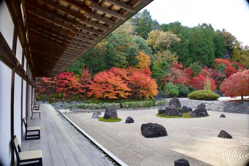 秋の彩りに癒されたキャンプ 天竺キャンプ場 ソロキャンプ フリーサイト yoshiさんのキャンプブログ CAMPiii（キャンピー） -キャンプ専用SNS キャンプのすべてがここに集まる-