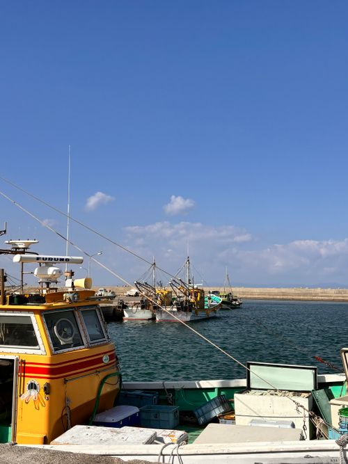 有田ブルーにいらっしゃい。 有田BLUEキャンプ場 グループキャンプ フリーサイト オートサイト あやぴーさんのキャンプブログ CAMPiii（キャンピー） -キャンプ専用SNS キャンプのすべてがここに集まる-