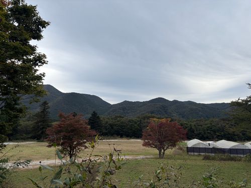 職場の同僚くん夫婦とグルキャン AKIU CAMP RESORT ソロキャンプ グループキャンプ 区画サイト オートサイト ぱぱちょさんのキャンプブログ CAMPiii(キャンピー) -キャンプ専用SNS キャンプのすべてがここに集まる-