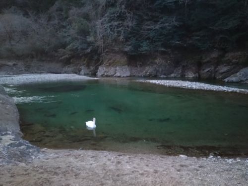 新幕デビューin白鳥の湖🏕️ ふれあいパーク大原湖 ソロキャンプ 区画サイト ＪＩＭＭＹさんのキャンプブログ CAMPiii（キャンピー） -キャンプ専用SNS キャンプのすべてがここに集まる-