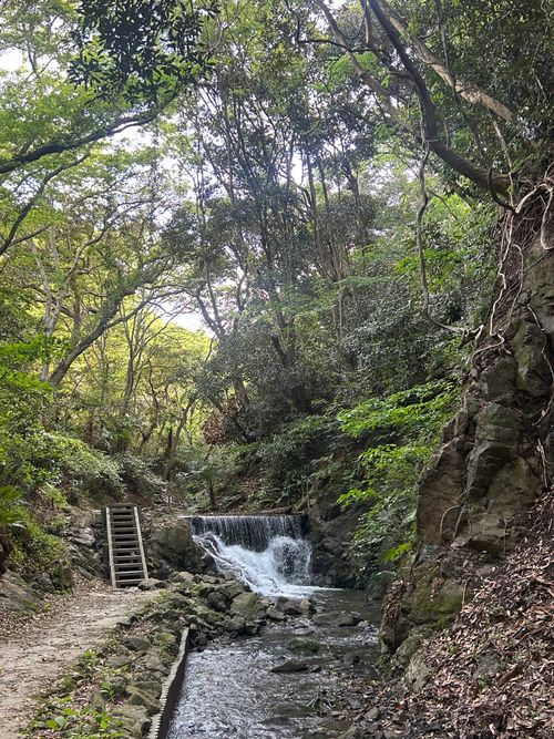 前日宅呑み中🍺思いたっての低山ハイク🥾 大楠山 ソロキャンプ Genさんのキャンプブログ CAMPiii（キャンピー） -キャンプ専用SNS キャンプのすべてがここに集まる-