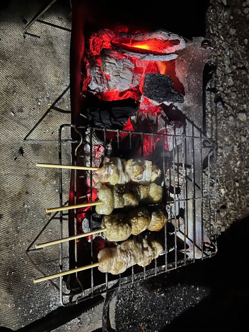 my BBQ はじまりの地にて バカンス村 ソロキャンプ 区画サイト よスさんのキャンプブログ CAMPiii（キャンピー） -キャンプ専用SNS キャンプのすべてがここに集まる-