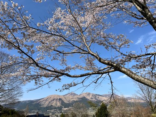 2026.3.29〜30 ビラ・マイルド akemi.09.02さんのキャンプブログ CAMPiii（キャンピー） -キャンプ専用SNS キャンプのすべてがここに集まる-