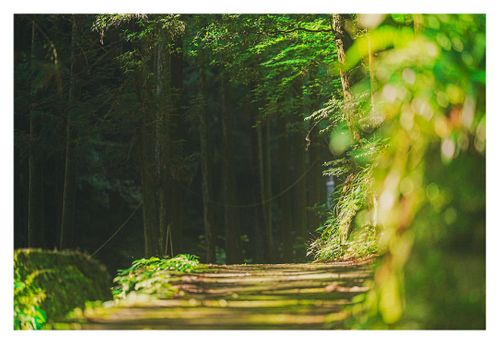 全国旅キャンプ第6弾は大阪府 山の神キャンプ場 ソロキャンプ 区画サイト ENJOY THE OUTDOORSさんのキャンプブログ CAMPiii(キャンピー) -キャンプ専用SNS キャンプのすべてがここに集まる-