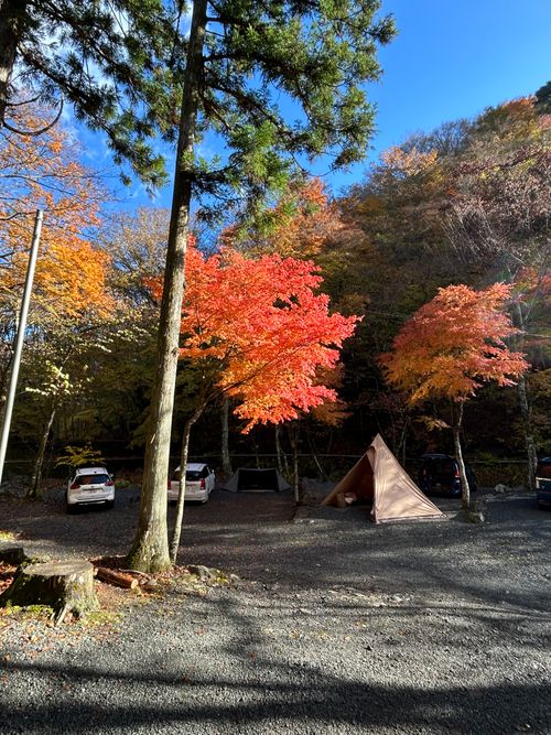 紅葉🍁キャンプ 山伏オートキャンプ場 ソロキャンプ グループキャンプ 区画サイト Genさんのキャンプブログ CAMPiii（キャンピー） -キャンプ専用SNS キャンプのすべてがここに集まる-