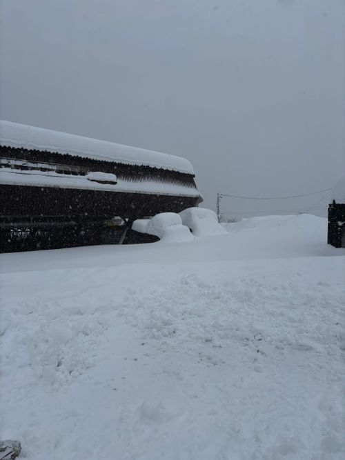 ゲレンデ内でマジの雪中初体験。 365 Green Village グループキャンプ フリーサイト あやぴーさんのキャンプブログ CAMPiii（キャンピー） -キャンプ専用SNS キャンプのすべてがここに集まる-