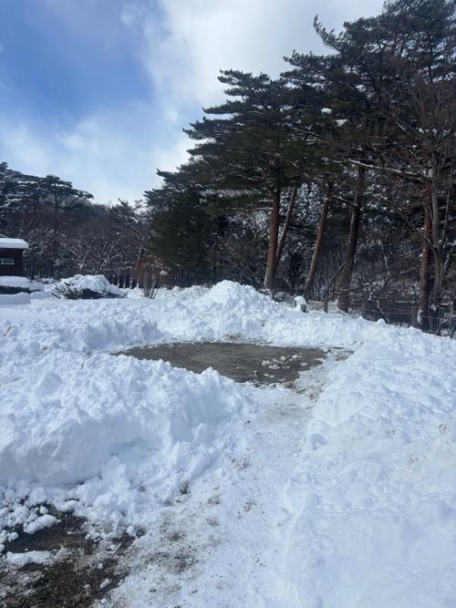 積雪｢ゼロcm」からの➡️➡️➡️➡️暴風のち災害級大雪キャンプ⛄️ 塩原グリーンビレッジ Oniyomeさんのキャンプブログ CAMPiii（キャンピー） -キャンプ専用SNS キャンプのすべてがここに集まる-