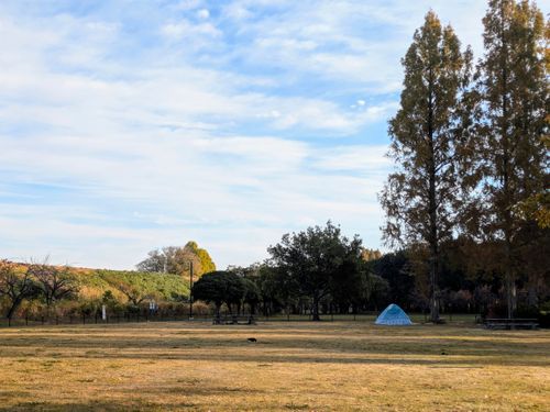 サクッとデイキャン。 庄内緑地 ソロキャンプ フリーサイト ぞのさんさんのキャンプブログ CAMPiii（キャンピー） -キャンプ専用SNS キャンプのすべてがここに集まる-