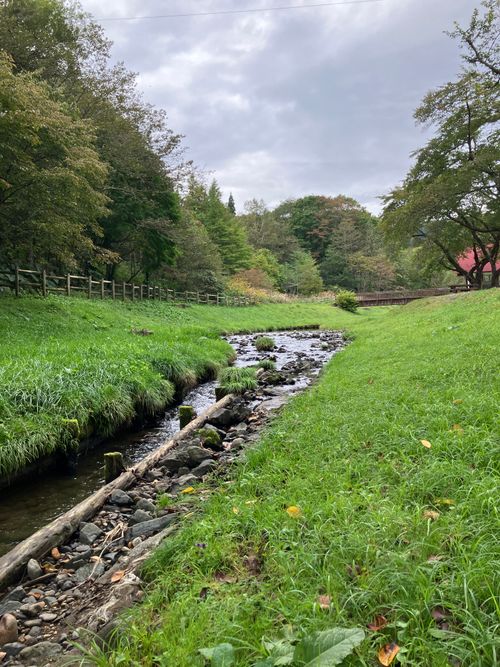 また長万部で癒されキャンプ 長万部公園(キャンプ場) グループキャンプ フリーサイト siroさんのキャンプブログ CAMPiii（キャンピー） -キャンプ専用SNS キャンプのすべてがここに集まる-