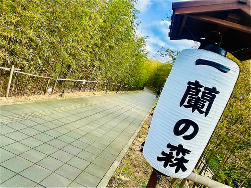 予定変更の行き当たりばったり？おじおばうさキャン△ in OHANA camp & bbq 〜 CAMP NO.172 御飯屋おはな ファミリーキャンプ グループキャンプ フリーサイト おじキャン△さんのキャンプブログ CAMPiii（キャンピー） -キャンプ専用SNS キャンプのすべてがここに集まる-