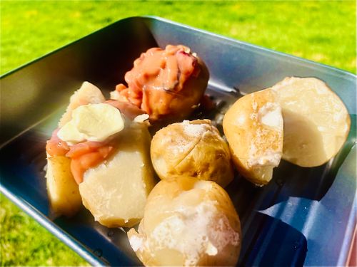 待望の晴れ晴れ☀️おじおばうさキャン△ in 阿武川温泉公園キャンプ場 〜 CAMP NO.155 萩阿武川温泉公園(キャンプ可) ファミリーキャンプ グループキャンプ フリーサイト おじキャン△さんのキャンプブログ CAMPiii(キャンピー) -キャンプ専用SNS キャンプのすべてがここに集まる-