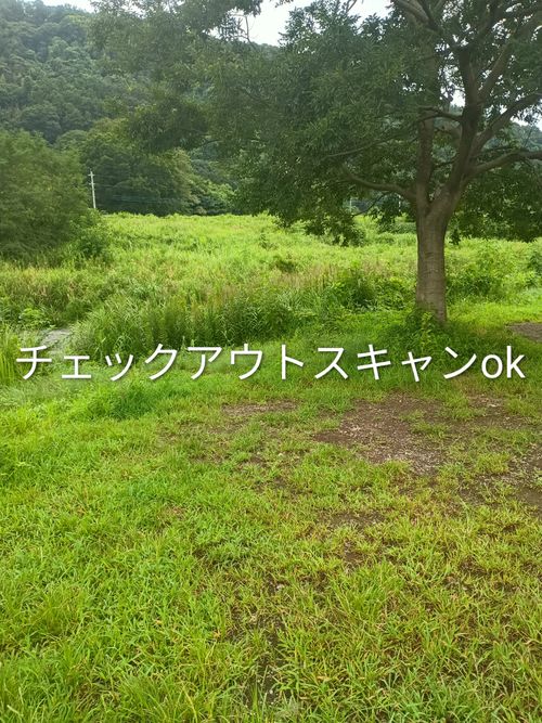 お盆休み、マターリ デーキャンプ ソロキャンプ フリーサイト ウエィダーさんのキャンプブログ CAMPiii（キャンピー） -キャンプ専用SNS キャンプのすべてがここに集まる-