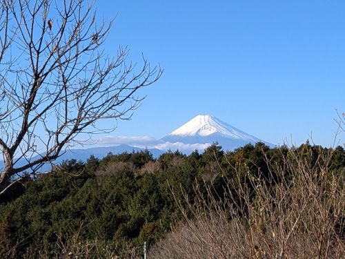 年末キャンプ 高原キャンプ場 樹庭夢 ソロキャンプ 区画サイト 3838Outdoorさんのキャンプブログ CAMPiii（キャンピー） -キャンプ専用SNS キャンプのすべてがここに集まる-