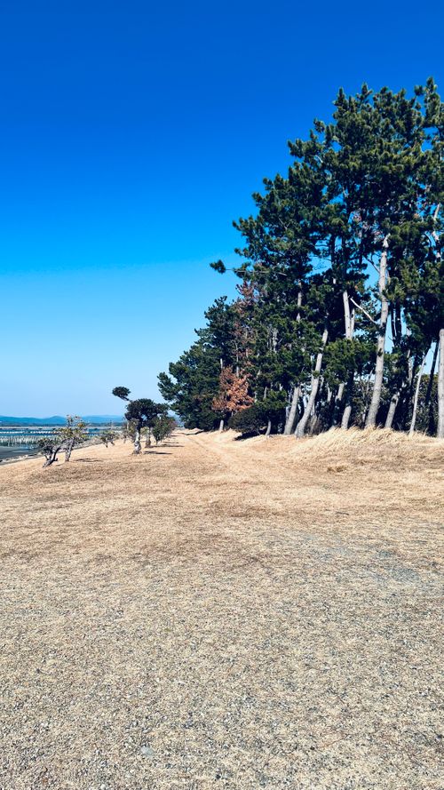 聖地 渚園 キャンプ場 ソロキャンプ 区画サイト KABUTOさんのキャンプブログ CAMPiii（キャンピー） -キャンプ専用SNS キャンプのすべてがここに集まる-